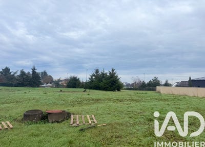 /international/fr/ancenis-pays-de-la-loire-310105429837/