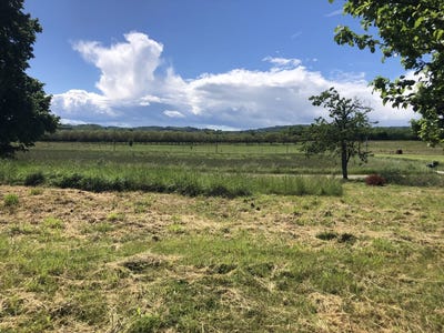 /international/fr/saint-antoine-l-abbaye-rhone-310108088855/