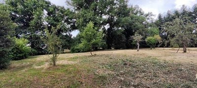/international/fr/montrond-les-bains-rhone-310104945030/