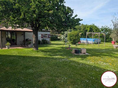 /international/fr/couleuvre-auvergne-310098718851/