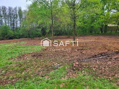 /international/fr/martillac-aquitaine-310098768956/