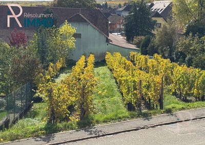 /international/fr/wettolsheim-alsace-310103285424/