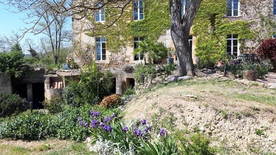 /international/fr/mirepoix-midi-pyrenees-120078364249/
