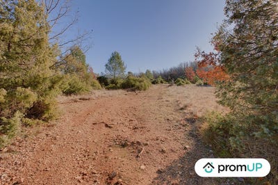 /international/fr/rians-provence-alpes-cote-d-azur-310105025755/