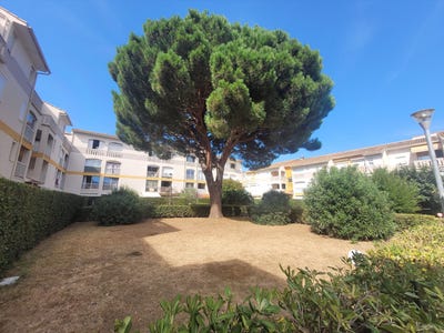/international/fr/argeles-sur-mer-languedoc-roussillon-310119751638/