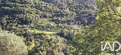 /international/fr/peille-provence-alpes-cote-d-azur-310106992696/