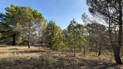 /international/fr/pierrevert-provence-alpes-cote-d-azur-310108210610/