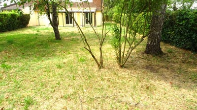 /international/fr/chevigny-saint-sauveur-burgundy-310099623750/