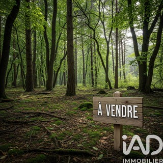 /international/fr/arsac-aquitaine-310106854006/