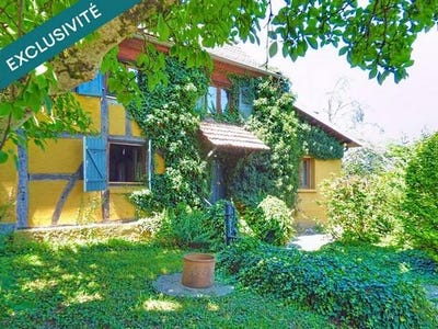 /international/fr/eteimbes-alsace-310101567174/