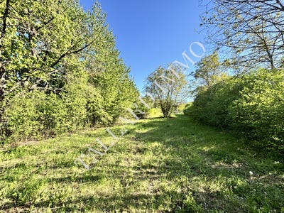 /international/fr/tallard-provence-alpes-cote-d-azur-310107743892/