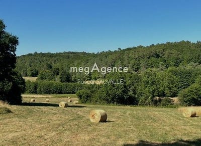 /international/fr/saint-julien-de-crempse-aquitaine-310098770947/