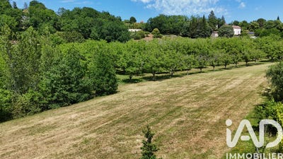 /international/fr/puy-l-eveque-midi-pyrenees-310108517919/