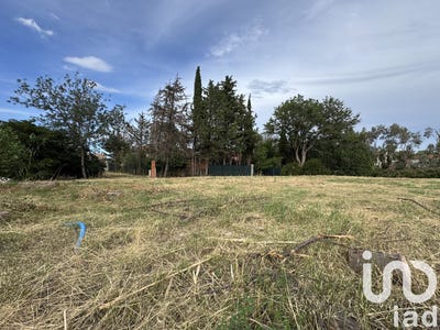 /international/fr/rivesaltes-languedoc-roussillon-310100664580/