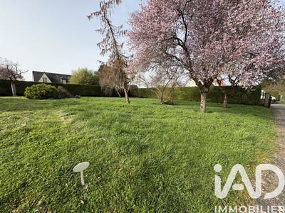 /international/fr/turquant-pays-de-la-loire-310106411596/