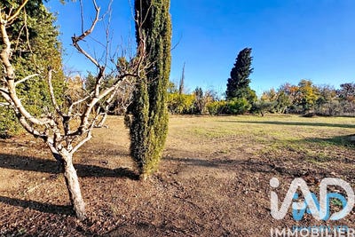 /international/fr/corneilla-la-riviere-languedoc-roussillon-310105535857/