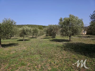 /international/fr/tavernes-provence-alpes-cote-d-azur-310106199134/