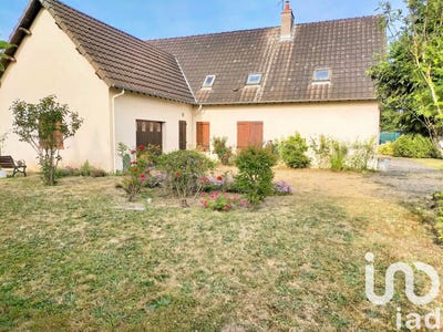 /international/fr/saint-pere-sur-loire-centre-val-de-loire-310100135008/