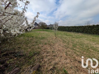 /international/fr/maze-pays-de-la-loire-310098110155/
