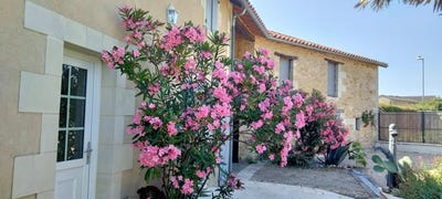 /international/fr/angliers-charente-310106973445/