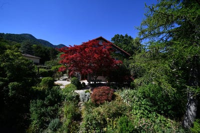 /international/fr/gex-rhone-310107582805/?lang=zh-tw