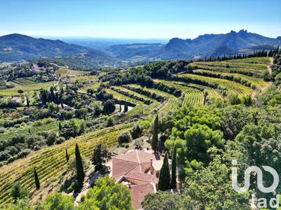 /international/fr/suzette-provence-alpes-cote-d-azur-310097766413/