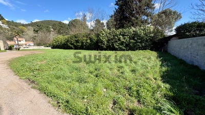 /international/fr/saint-florent-sur-auzonnet-languedoc-roussillon-310108159493/