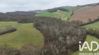 /international/fr/montastruc-saves-midi-pyrenees-310107562147/