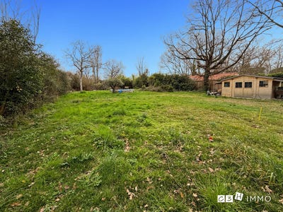 /international/fr/noe-midi-pyrenees-310107362927/