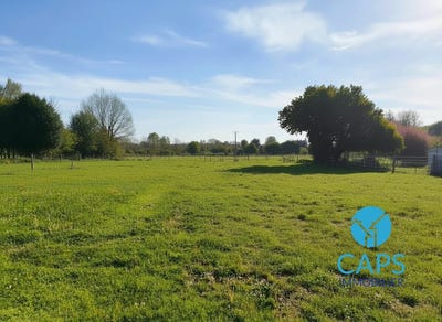 /international/fr/le-mesnil-reaume-upper-normandy-310107888105/