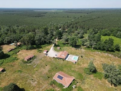 /international/fr/pissos-aquitaine-310108247669/
