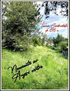 /international/fr/angers-pays-de-la-loire-120092190059/