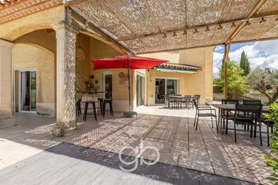 /international/fr/entre-vignes-languedoc-roussillon-310108008083/