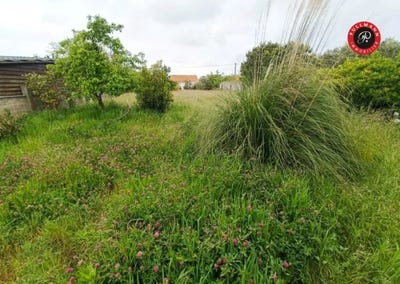 /international/fr/olonne-sur-mer-pays-de-la-loire-120091883635/