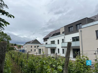 /international/fr/turckheim-alsace-120088718119/