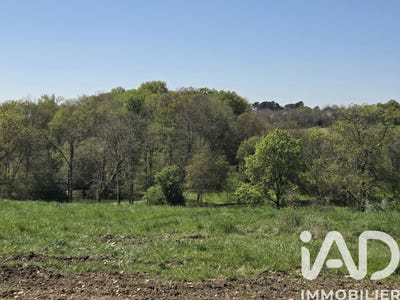 /international/fr/saint-simon-de-bordes-charente-310108597555/