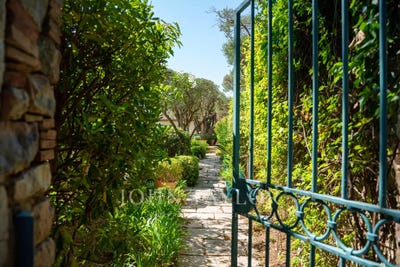 /international/fr/grimaud-provence-alpes-cote-d-azur-310109022650/