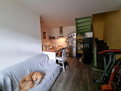 /international/fr/janze-brittany-120088710985/
