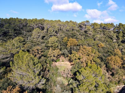 /international/fr/serviers-et-labaume-languedoc-roussillon-310104130589/