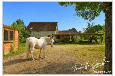 /international/fr/touchay-centre-val-de-loire-310107794620/