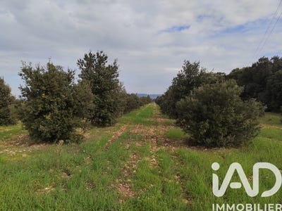 /international/fr/sainte-cecile-les-vignes-provence-alpes-cote-d-azur-310104827493/