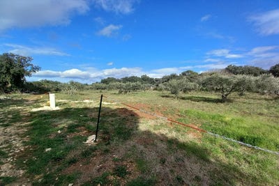 /international/fr/uzes-languedoc-roussillon-310106912944/