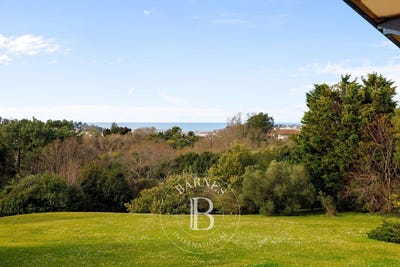 /international/fr/ciboure-aquitaine-310106711515/