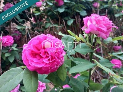/international/fr/lure-franche-comte-310108114243/