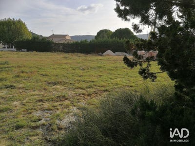 /international/fr/saint-paul-trois-chateaux-rhone-310108556238/
