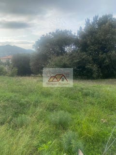 /international/fr/calenzana-corsica-310108529301/