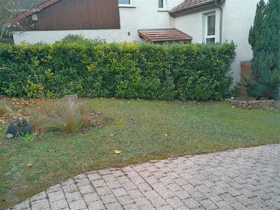 /international/fr/dijon-lorraine-310101275048/?lang=es