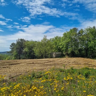 /international/fr/vezenobres-languedoc-roussillon-310099811432/
