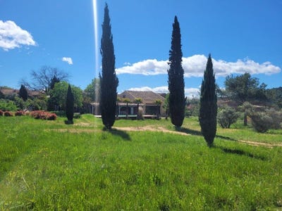 /international/fr/saint-chinian-languedoc-roussillon-310105950091/