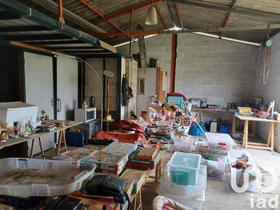 /international/fr/toulenne-aquitaine-310098471531/